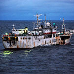 Ships flagged for illegal fishing still able to get insurance