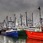 Future fisheries can expect $10-billion revenue loss due to climate change