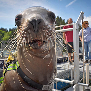 Open Water Research Station contributes a decade of discoveries