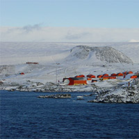 Antarctica’s biodiversity not doing as well as hoped