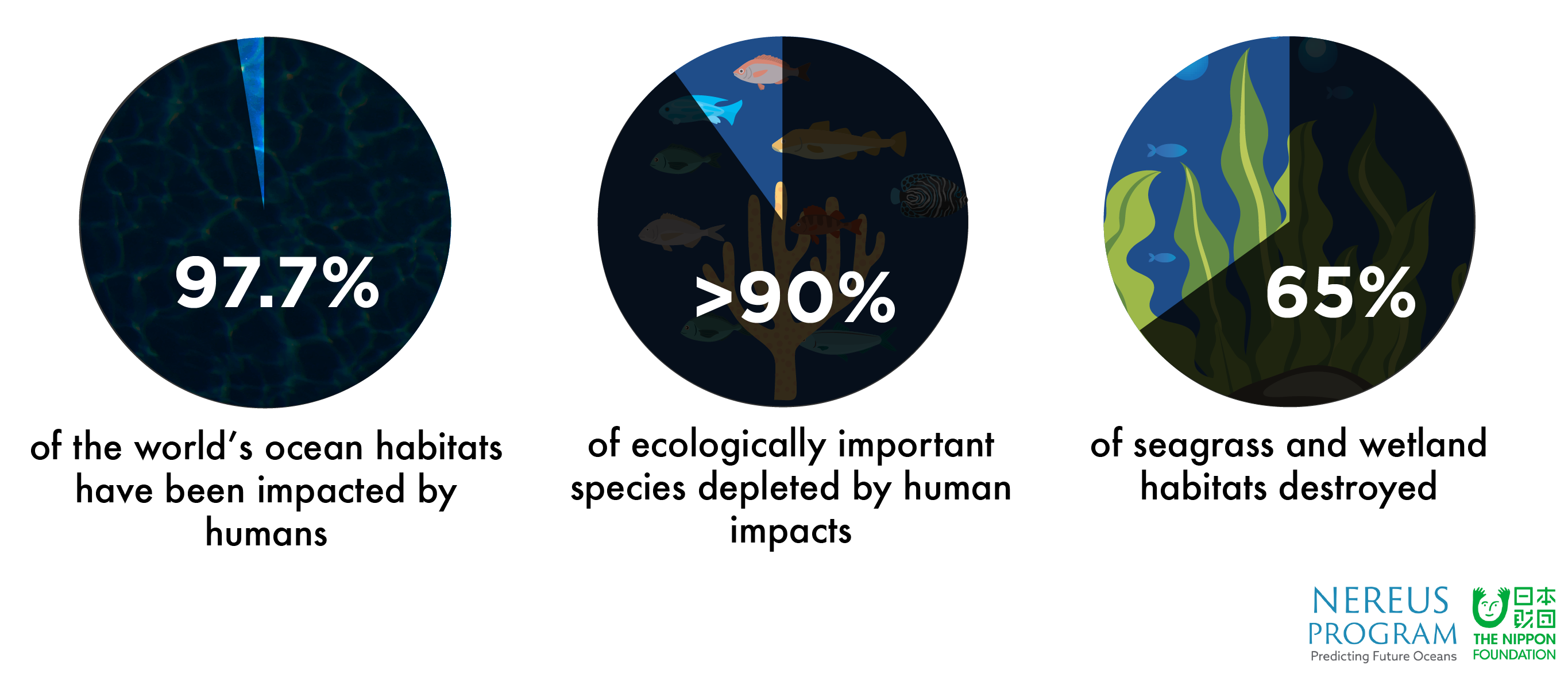 Human habitats. Global and sustainable. Climate change Fish. Benefit Ocean. Бренд guess удостоен награды Global Sustainability.