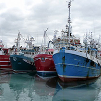 Fishing fleets travelling further to catch fewer fish