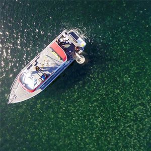 UBC researchers use drones to track jellyfish blooms