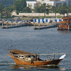 Climate change to cause dramatic drop in Persian Gulf biodiversity and fisheries catch potential