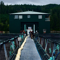 IOF students visit fish farm