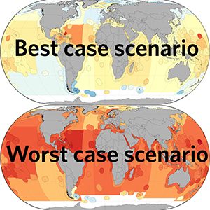 Effective fisheries management can reduce extinction risk of marine fish stocks from climate change