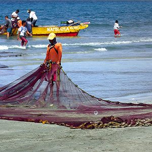 Ensuring individual transferable quotas benefit fisheries and the environment