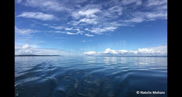 Natalie Mahara – Oceanography Broughton Archipelago