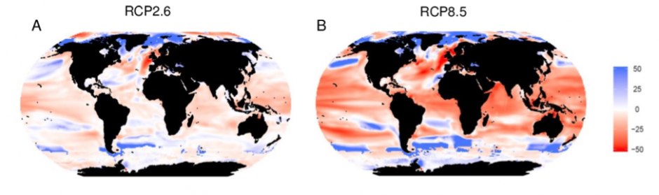 Comprehensive global analysis shows a warmer ocean will hold fewer ...