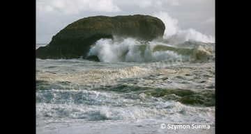Szymon Surma – South Beach Waves