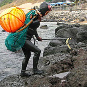 Fisherwomen contribute tonnes of fish, billions of dollars to global fisheries