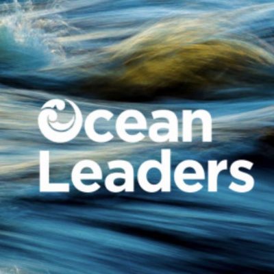 PROFILE: Ocean Leaders step outside the lab to connect with communities and solve ocean problems