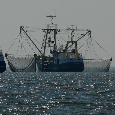 China and the E.U. aren’t the only ones to blame for harmful fisheries subsidies