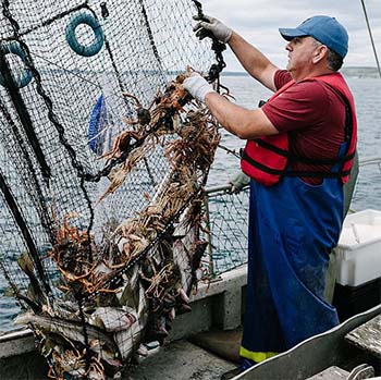 High cod catches could have been sustained in Eastern Canada for decades, simple stock assessment method shows