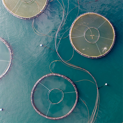 Farmed seafood supply at risk if we don’t act on climate change
