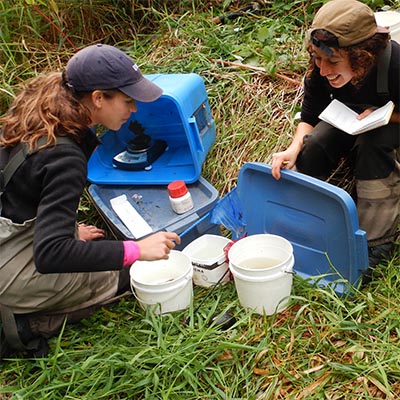 PROFILE: Saving British Columbian streams, rivers and lakes for fish