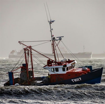 Nearly half of countries’ shared fish stocks are on the move due to climate change, prompting dispute concerns