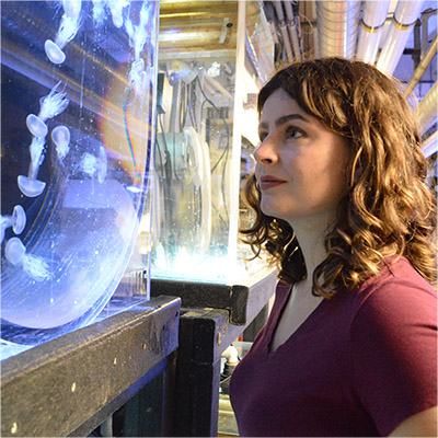 This scientist is taking an international jellyfish tour to explore mucus and medusae