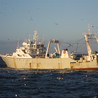 Developing nations at risk from harmful fisheries subsidies, UBC study states