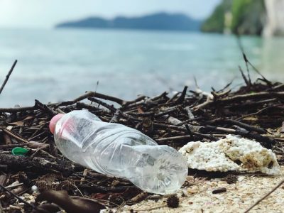 It’s time to classify plastics as persistent, bioaccumulative and toxic pollutants