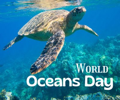World Oceans Day: ‘In one word, what does the ocean mean to you?’
