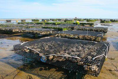 Can aquaculture help create a sustainable planet?