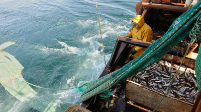 Fisheries disrupt balance of marine nutrients in countries’ Exclusive Economic Zones